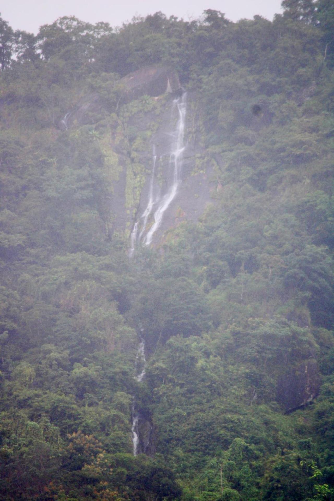 Mist Farm House Kudayattur Luaran gambar
